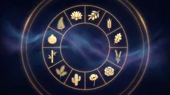 Ihanteellinen huonekasvi horoskooppimerkkisi perusteella