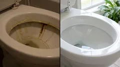 Miten vanhan WC-istuimen saa valkaistua: toimiviksi todetut vinkit kotiin