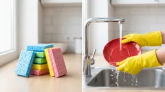 Mitä tiskisienten värit tarkoittavat? Se on tärkeää, mutta harva tietää sen.