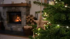 Pysäytä joulukuusi kuoleminen aikaisin näillä yksinkertaisilla asiantuntijan vinkeillä