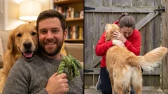 Voivatko koirat sanoa 'kiitos', ja miten ne tekevät sen